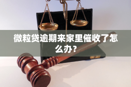 高安专业催债公司的市场需求和前景分析