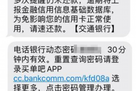 高安为什么选择专业追讨公司来处理您的债务纠纷？